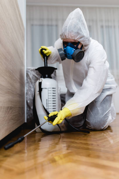 Best Pest Exclusion Services  in Boonville, CA